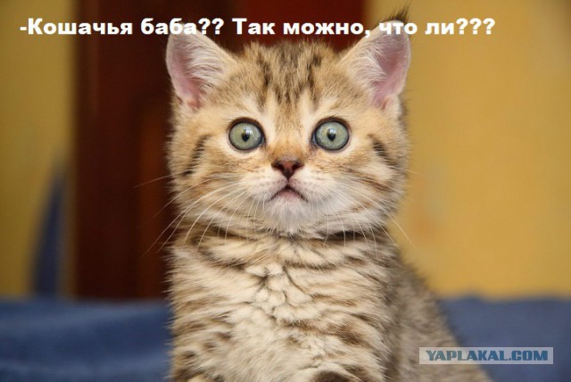 Подслушано