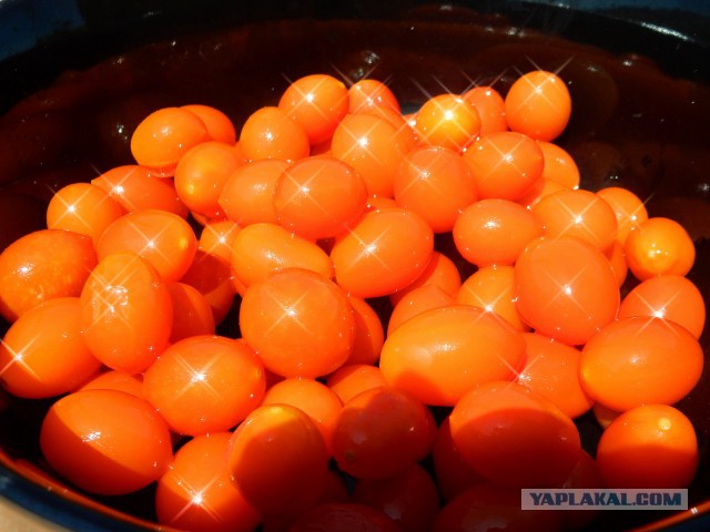 Сицилийская курица