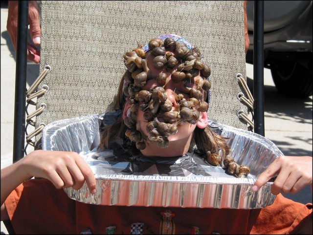 WTF: что тут происходит?