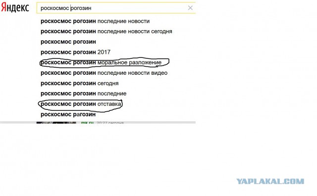 "Утопивший" в бочке таксу Рогозин взбесил россиян