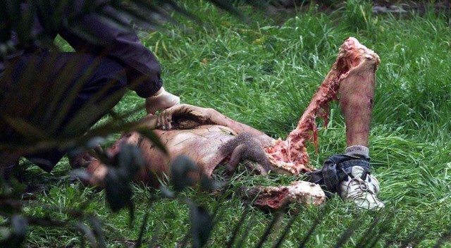 Я вернулсо!