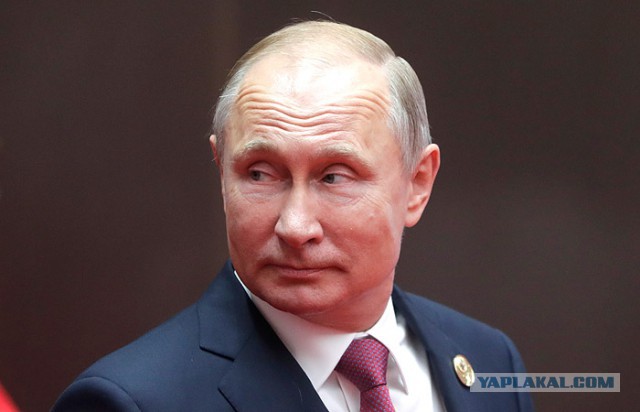 «Злая шутка природы» - эксперт о жутком создании из Приморья