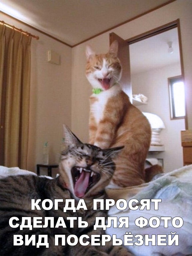 Прикольные картинки абавсём