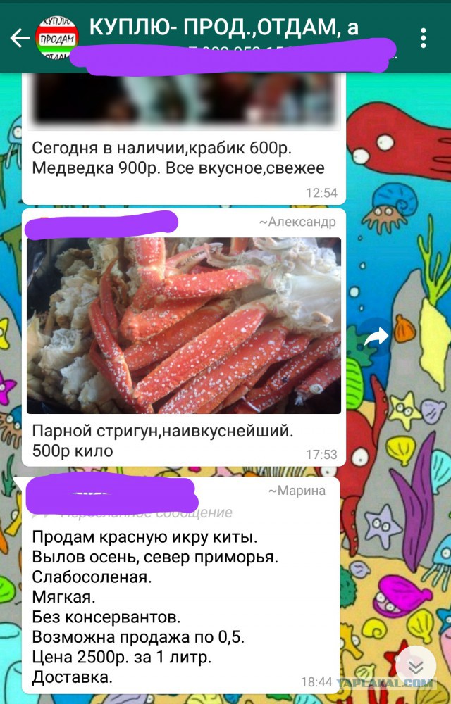 Цены на красную икру в России снизились вдвое.