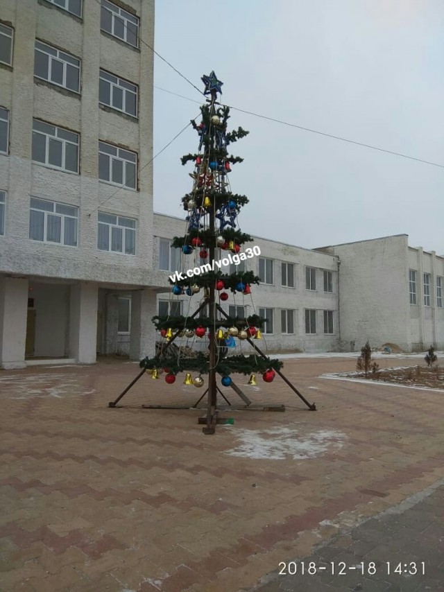 Ёлочка