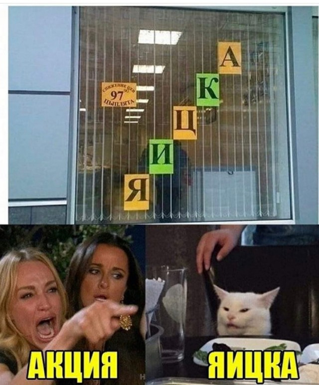 Прошёл целый год! А они всё орут на бедного котика