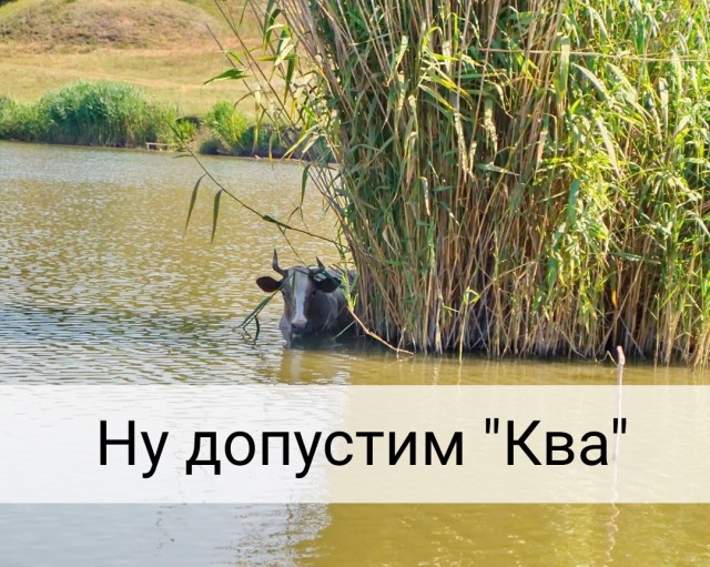 Чуток картинок 20.07.20