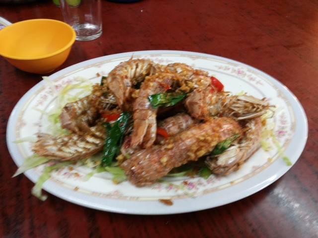 Cамое сильное животное в мире