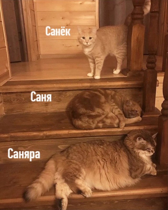 Необычные картинки