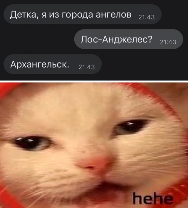 Весёлый полтишок 7.03