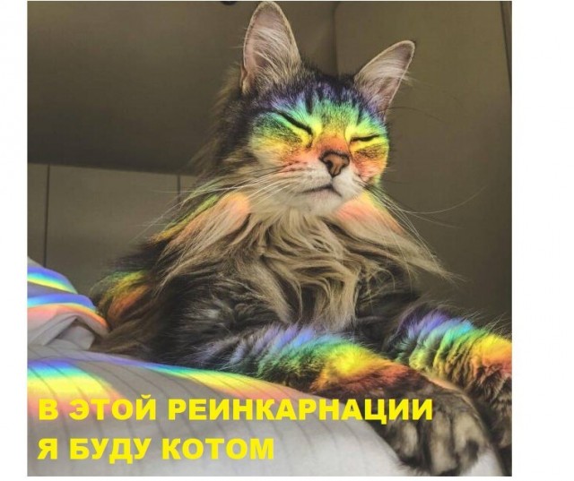 Картинки разные