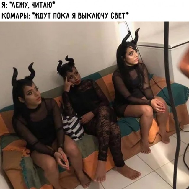 Весёлый полтишок 25.05