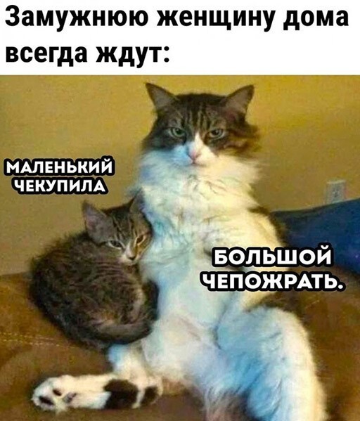 Улыбнись, не грусти!