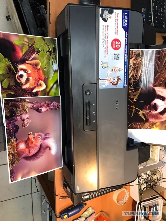 продам EPSON L1300