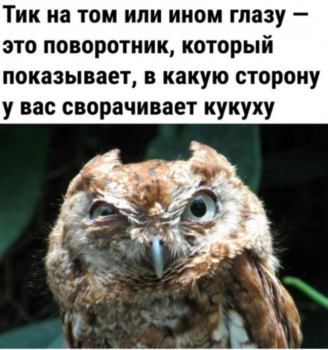 Так себе картинки 24.06.22