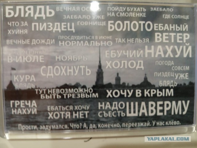 Магнитики на холодильнике. Какие у вас есть примечательные?