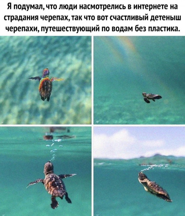 Картинки и мемы для настроения - 03