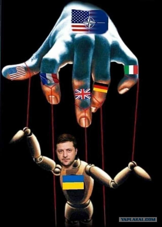 Убывци москалей! Ожидания и реальность!