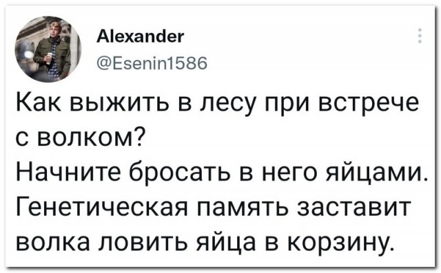Забавные комментарии из социальных сетей (16.01.23)