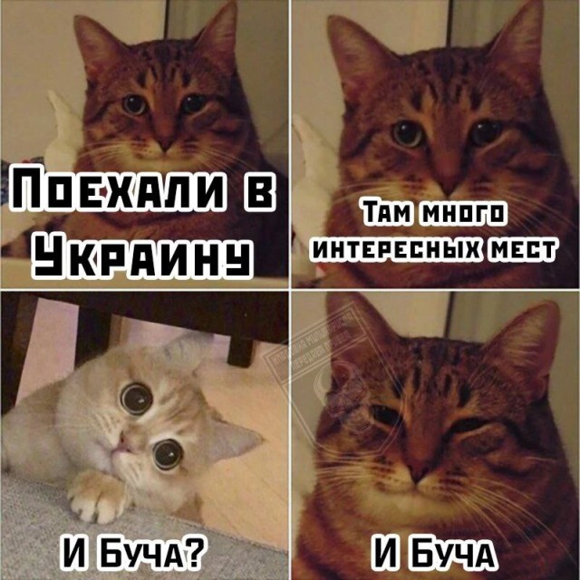 Почему пенсионеры верят телевизору?