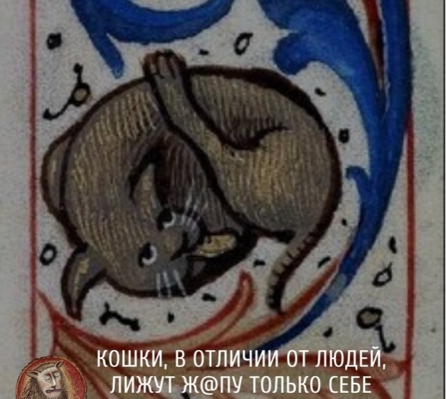 Медведев, Симоньян и Захарова уже высказались.