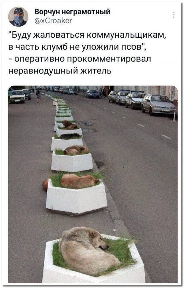 Забавные комментарии из социальных сетей (22.05.23)