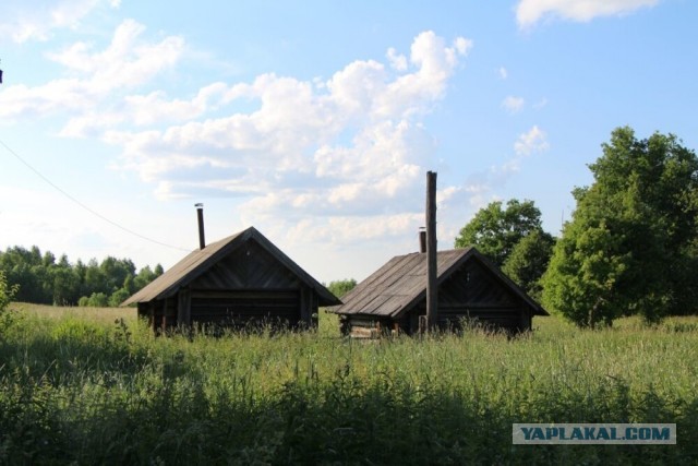 Далекая деревня на севере Костромской области. Бабушка живет одна в деревне