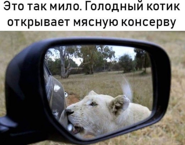 Маленькая пятница