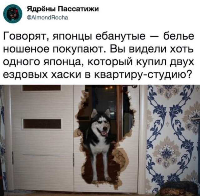 Баянисто-упоротые картинки