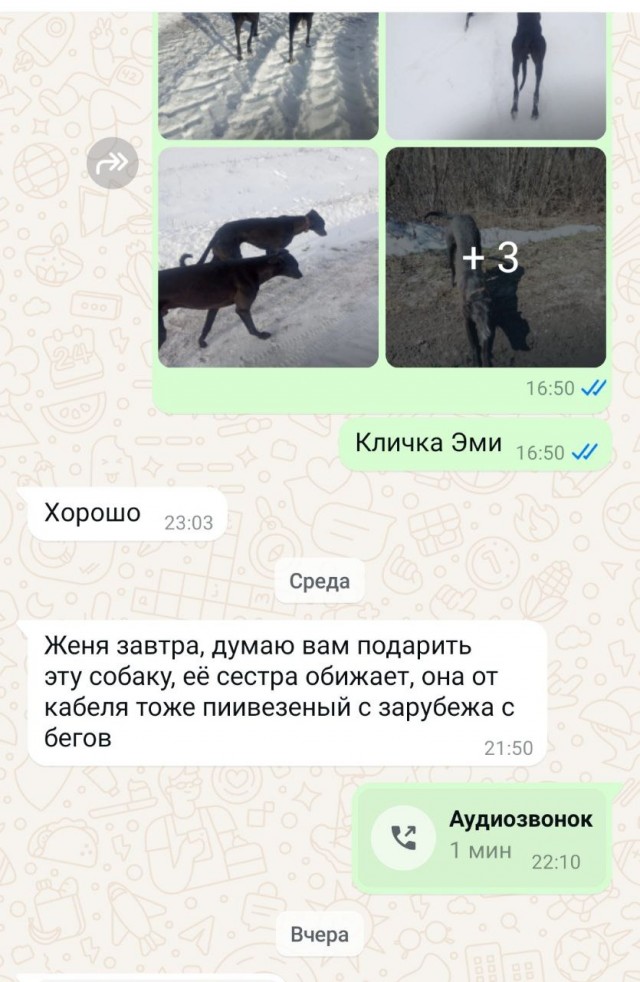 Веселая ферма: Стрелка!