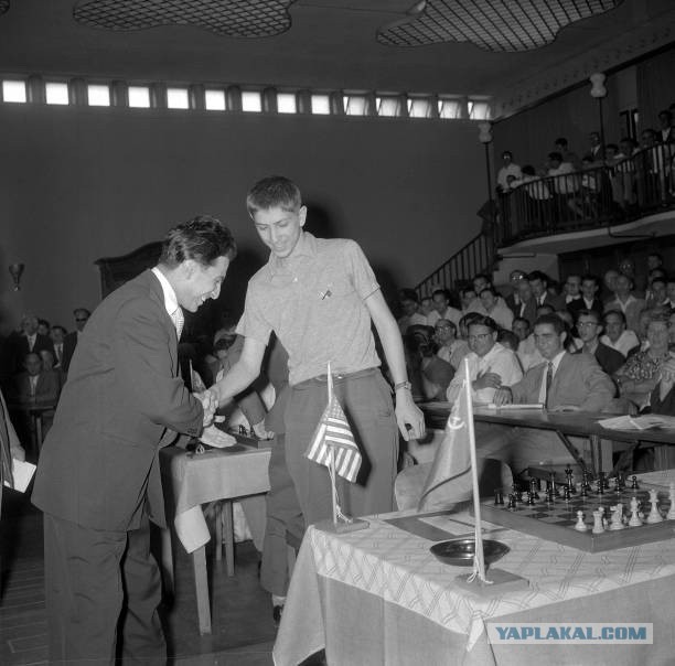 Шахматный юмор