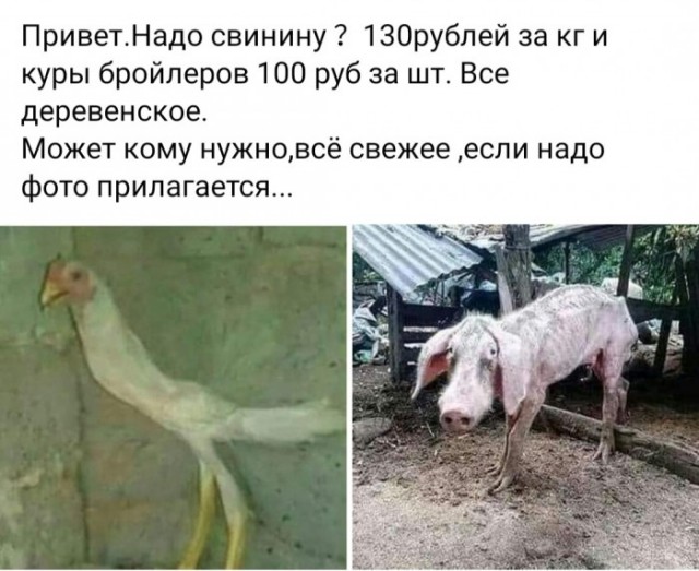 Так себе картинки 20.04.25