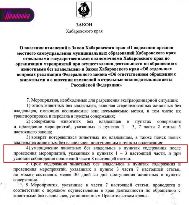 Эвтаназию бродячих собак разрешили в Хабаровском крае после многочисленных нападений на людей