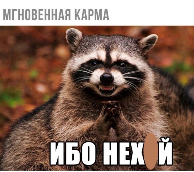 «Моя работа — е**ть енота!»