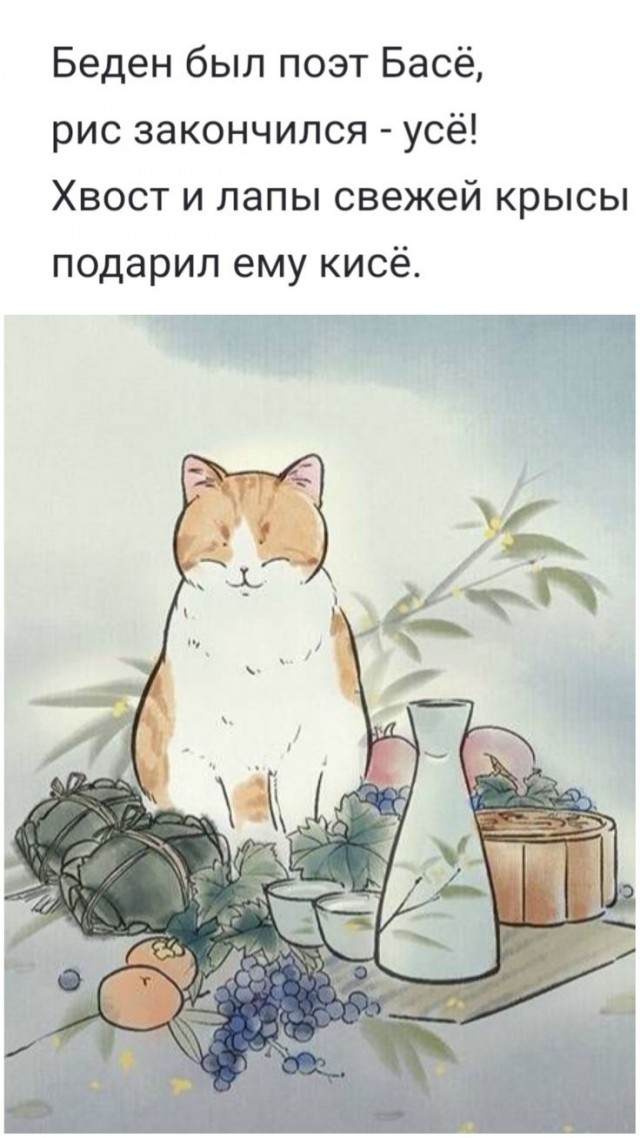 Прикольные и просто красивые картинки 18.11.2025