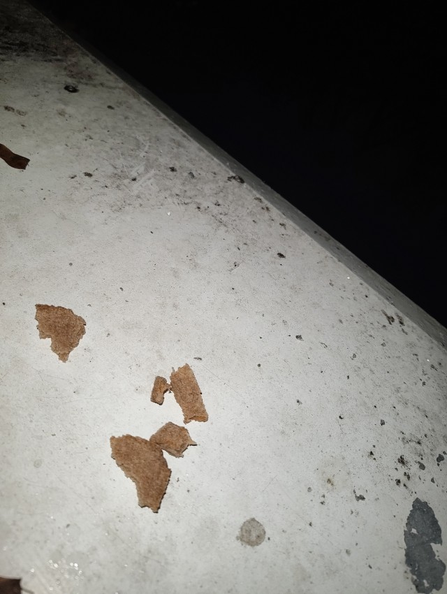 Пропали голуби