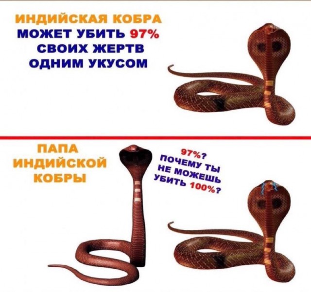 Дегрономикон 4