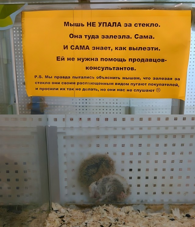 Так себе картинки 09.12.25