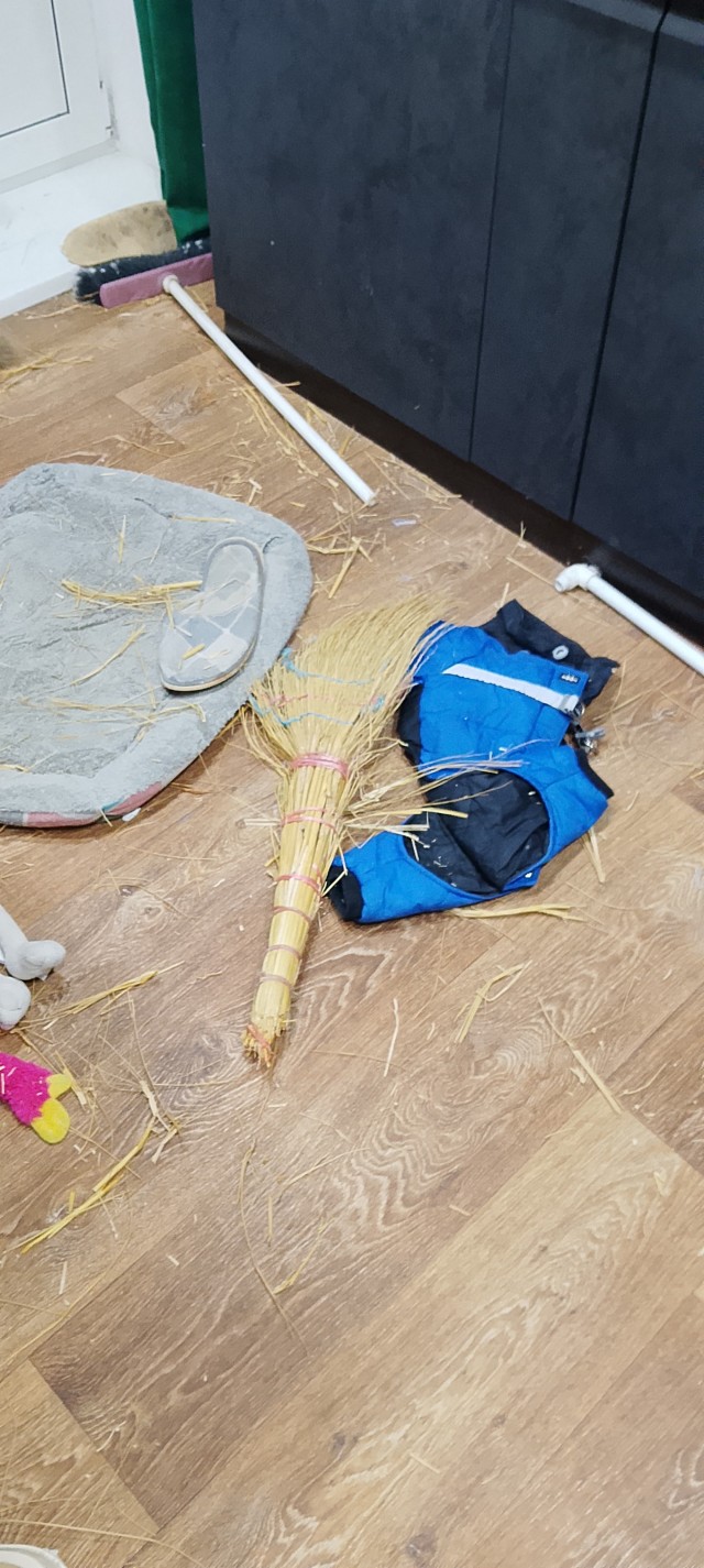 Побарагозили.