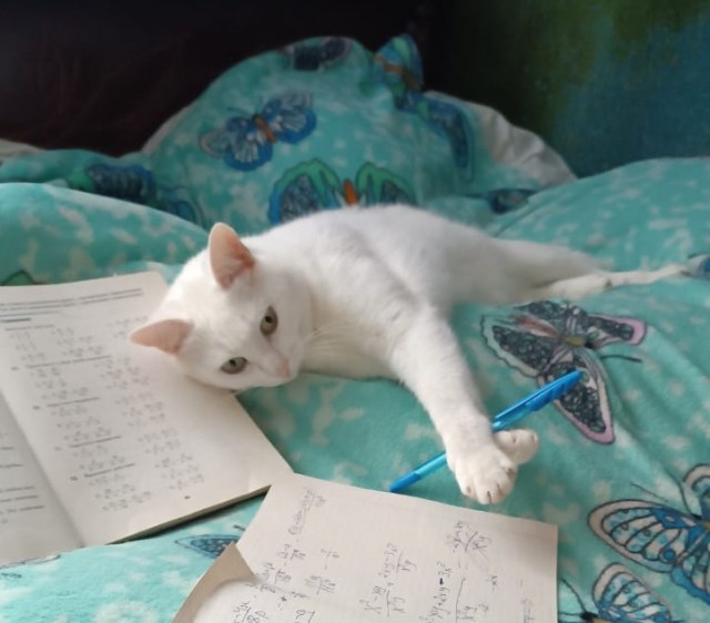 Буп.