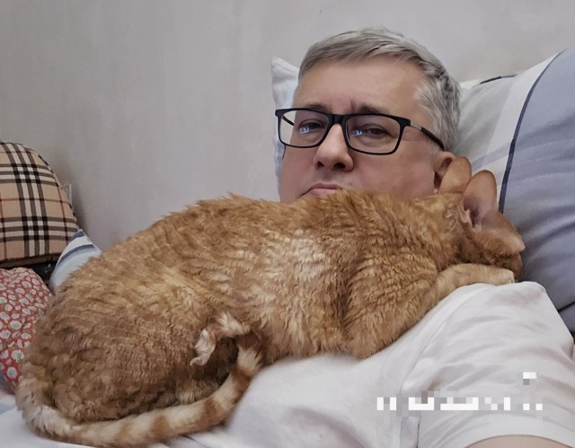 Котики и любовь