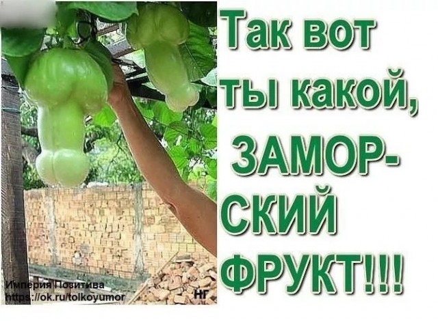 Прикольные и просто красивые картинки 04.09.2026