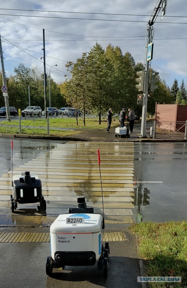 Обстановка в Питере