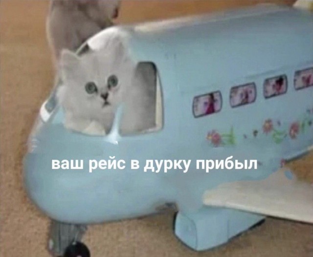 Как летают самолёты