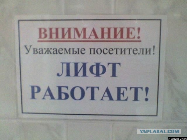 Маразмы года 2013