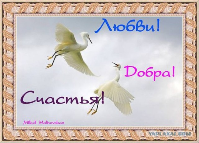 Всем Желаю Мира И Добра