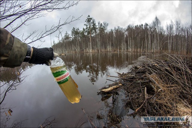 Нелегальный поход в чернобыльскую зону отчуждения.