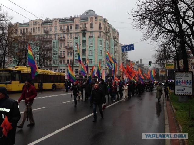 ЛГБТ поддерживает киевские власти