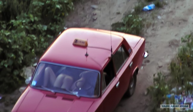 Нас утро встречает прохладой!
