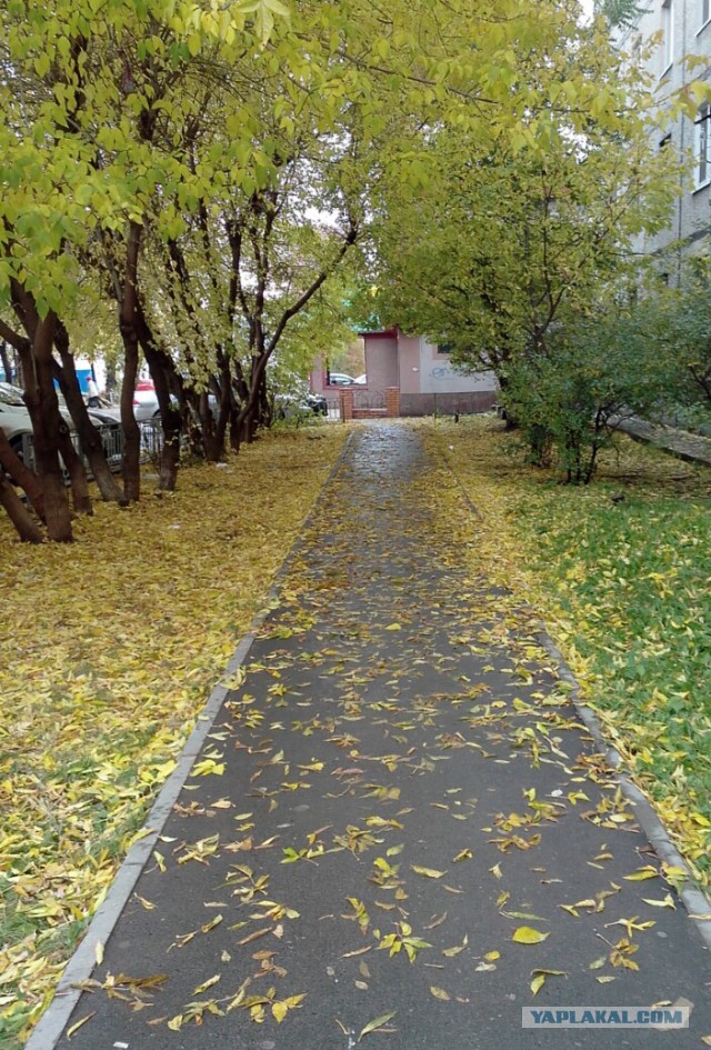 А что у Вас сейчас?